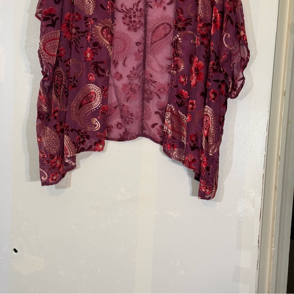 Umgee USA Velvet Burnout Burgundy Floral Paisley Sheer Kimono | Size M/L - Picture 3 of 8